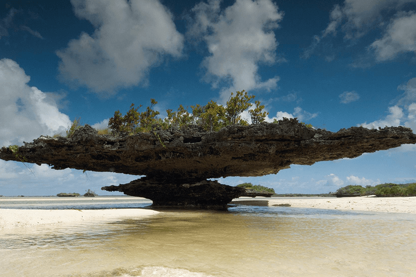 Aldabra Atoll