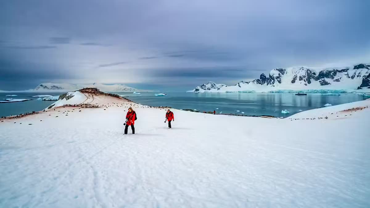 Antarctic Peninsula