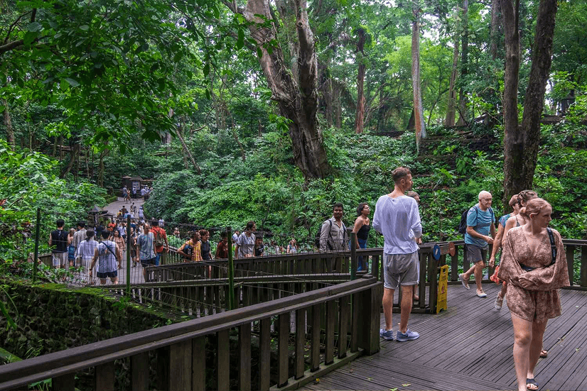Ubud Monkey Forest