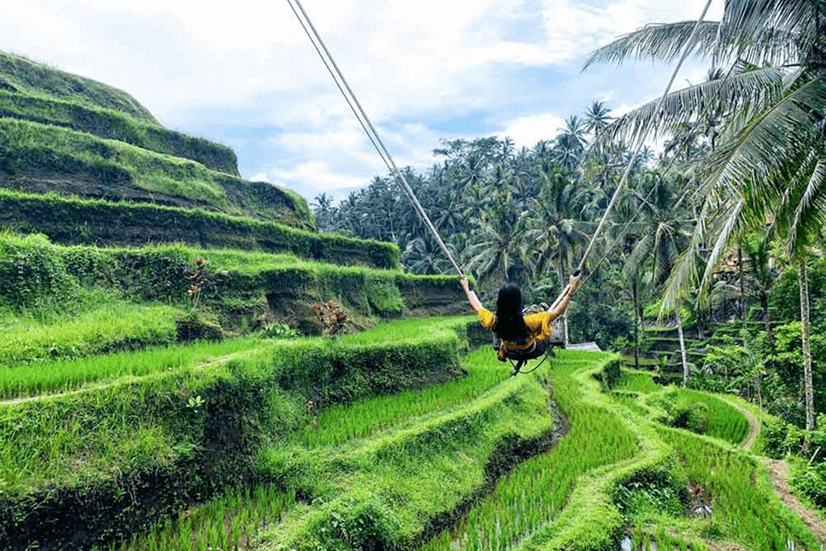 Tegallalang Rice Terraces
