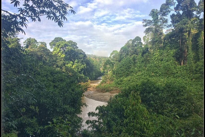 Danum Valley Conservation Area