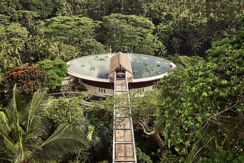 Luxury Rainforest Lodges