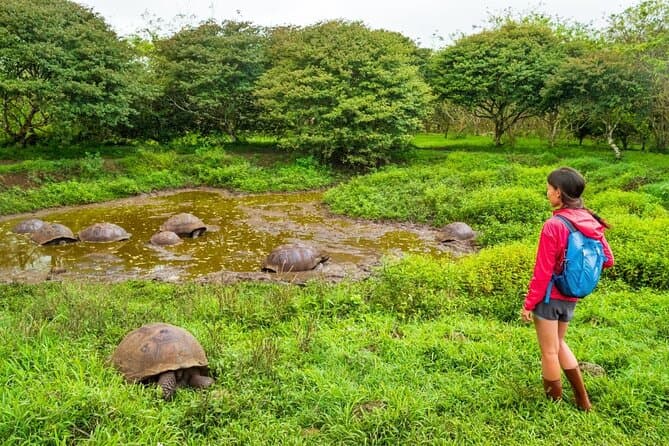 Giant Tortoise Reserves