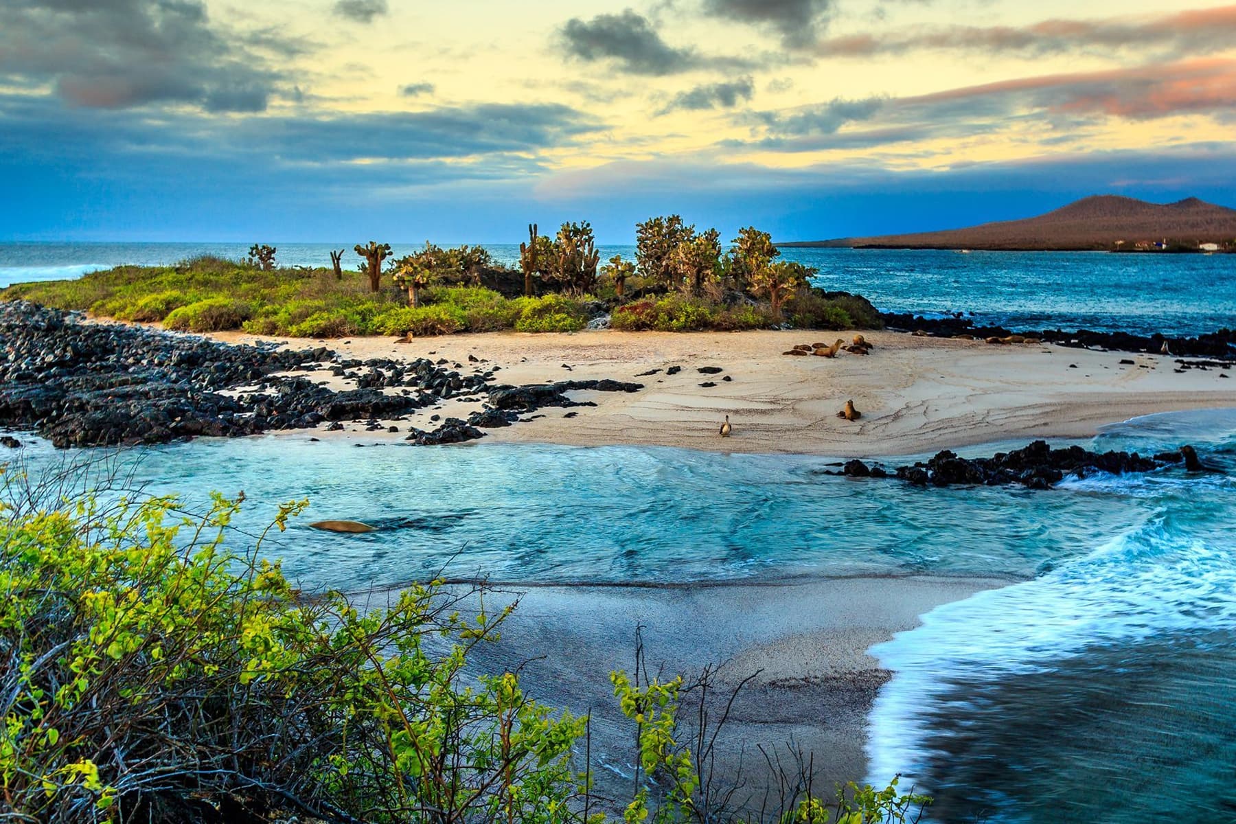 Galapagos Islands