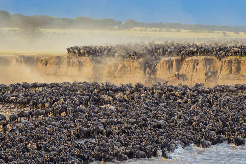 Great Migration