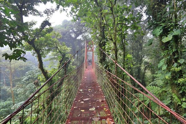 Monteverde Cloud Forest