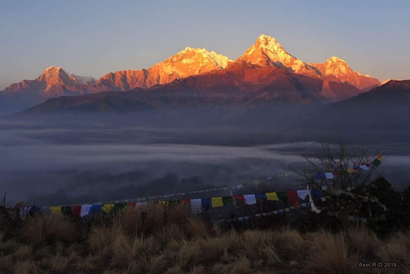 Poon Hill Sunrise