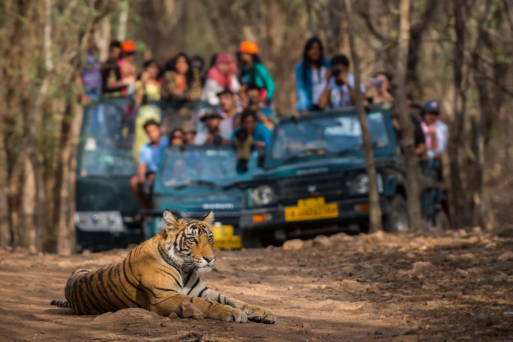 Ranthambore National Park