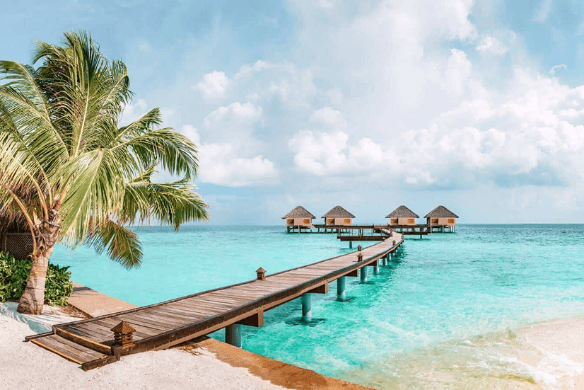 Paradise Beaches